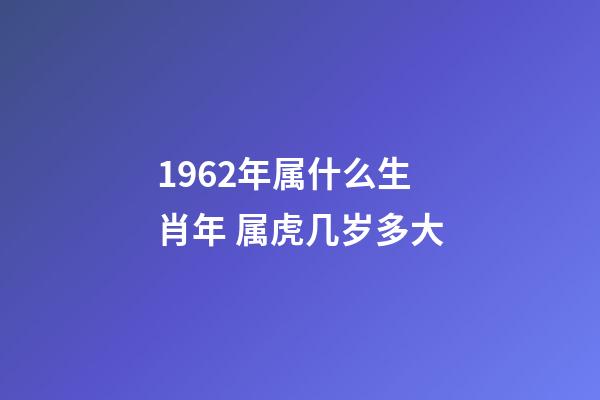 1962年属什么生肖年 属虎几岁多大